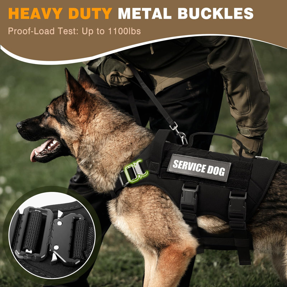 Chaleco WINSEE para perro grande con talla adecuada, mayor seguridad.