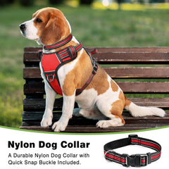 WINSEE collar incluido ofrece durabilidad y control durante el paseo