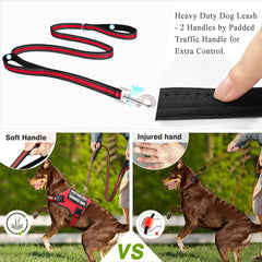 Correa WINSEE de 5 pies para entrenar y pasear con protección.