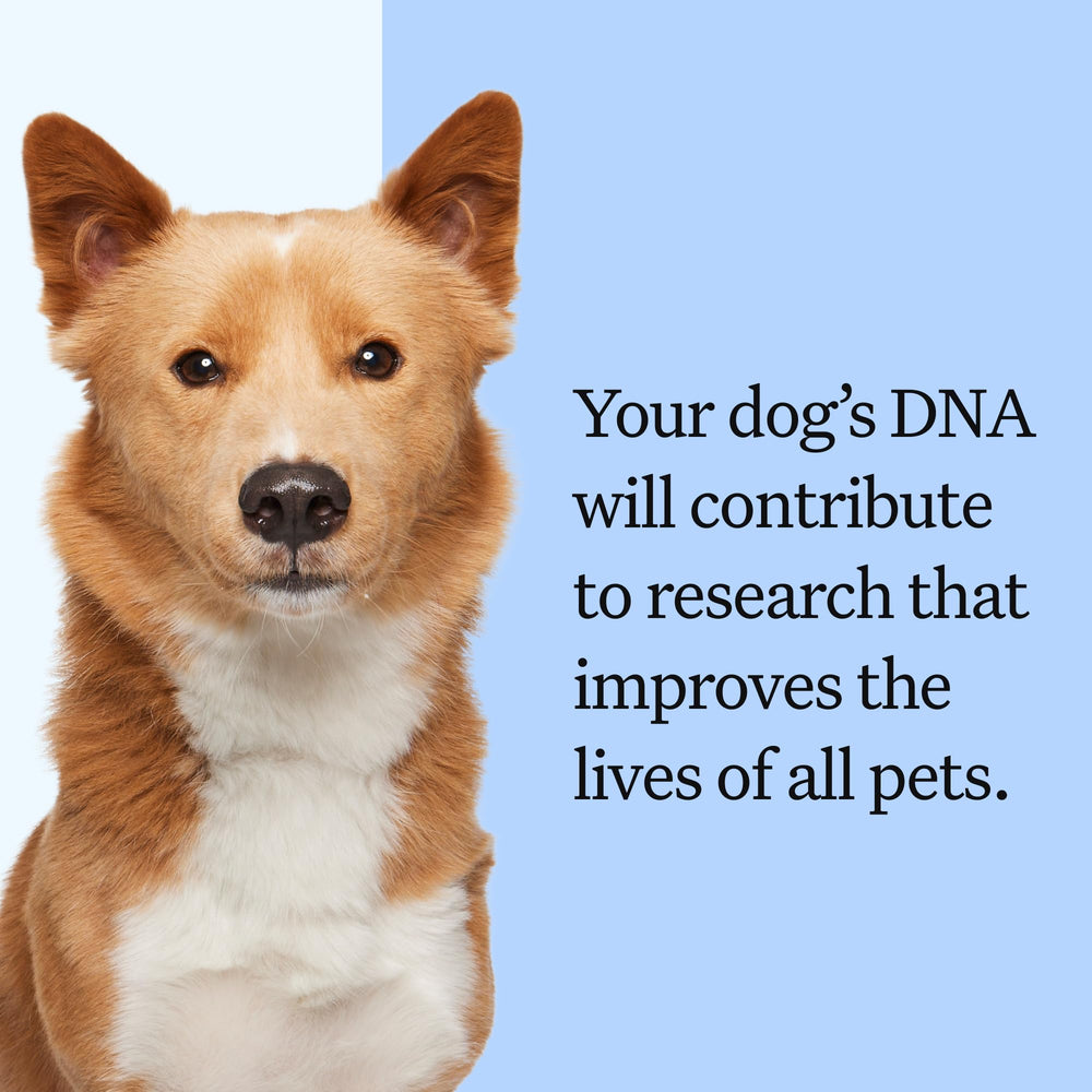 Wisdom Panel: insights de comportamiento según la ascendencia y rasgos