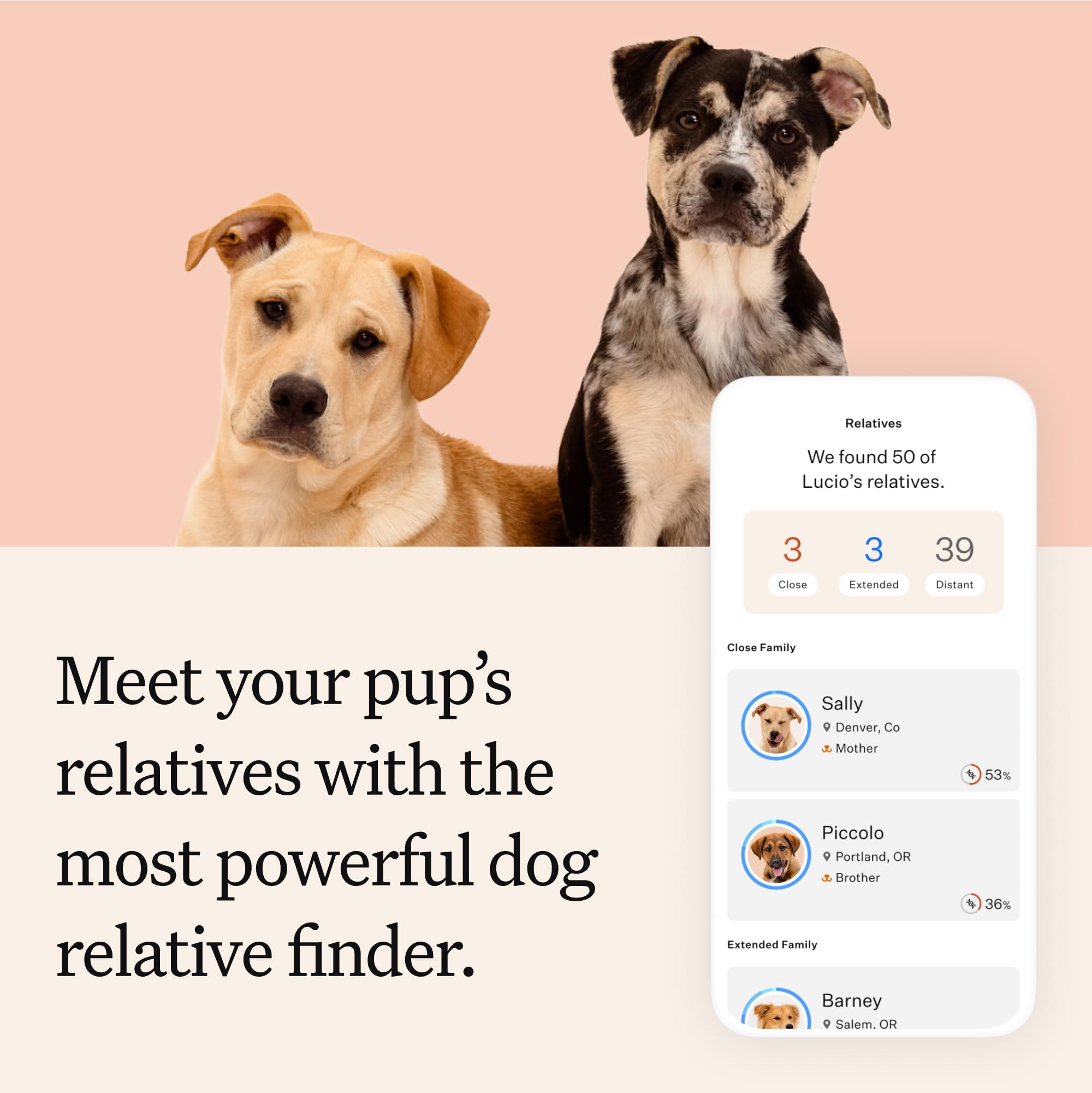 Wisdom Panel Premium: trazado de ascendencia para descubrir linaje y origen