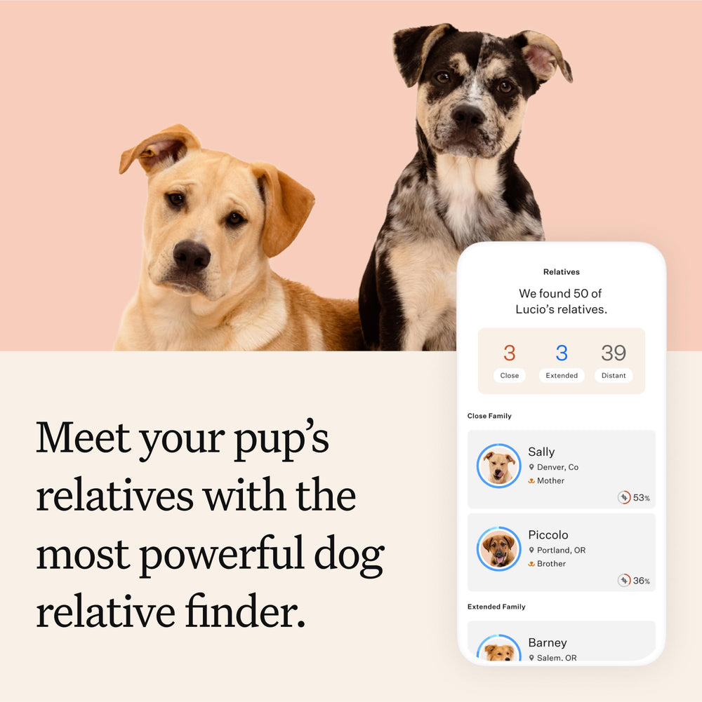 Wisdom Panel Premium: trazado de ascendencia para descubrir linaje y origen