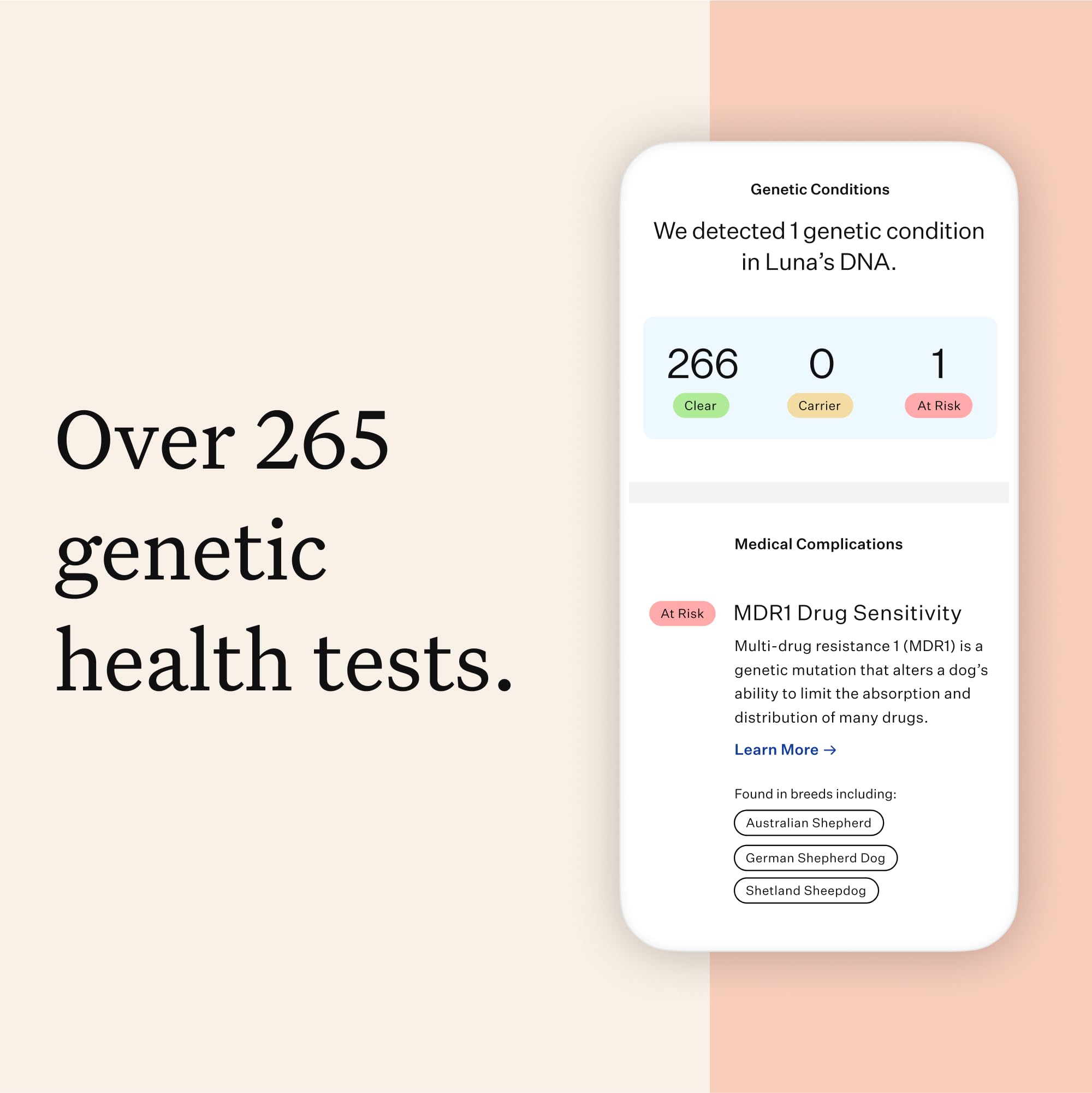 Wisdom Panel Premium: detección de razas en perros para confirmar mezcla y ascendencia