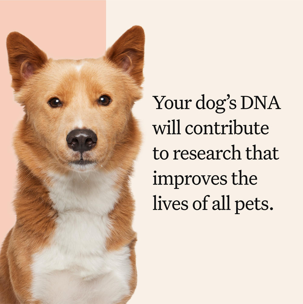 Wisdom Panel Premium: diversidad genética para cuidado preventivo y salud