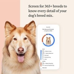 Wisdom Panel Premium: informe genético detallado para entender la herencia de tu perro