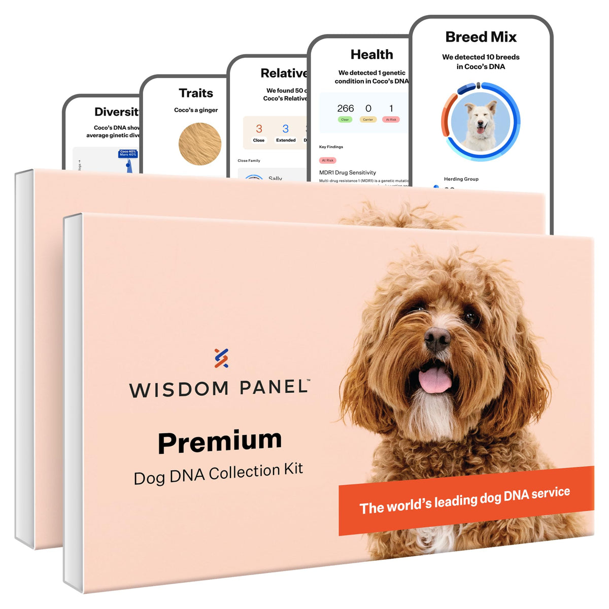 Wisdom Panel Premium: kit de ADN para perros en caja para conocer su perfil genético