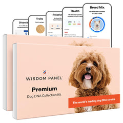 Wisdom Panel Premium: kit de ADN para perros en caja para conocer su perfil genético