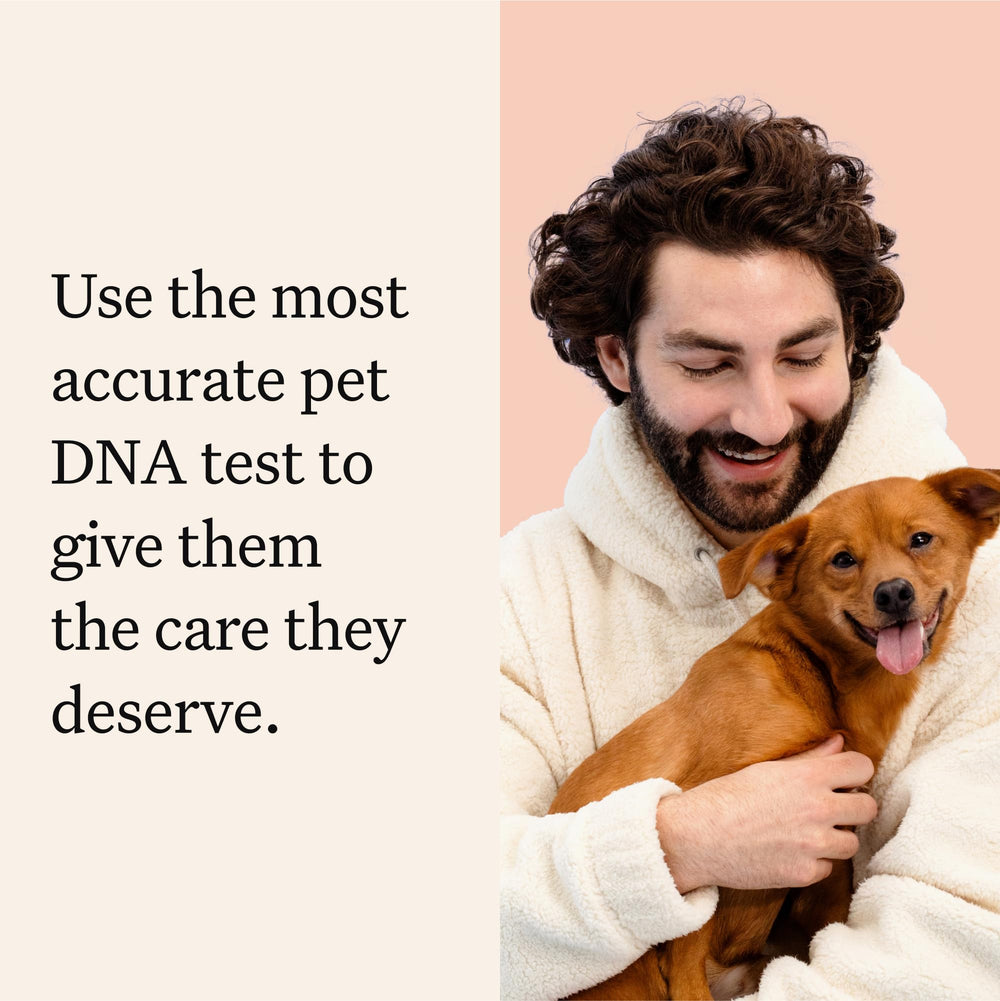 Wisdom Panel Premium: muestra de ADN canino para identificar razas y rasgos con precisión