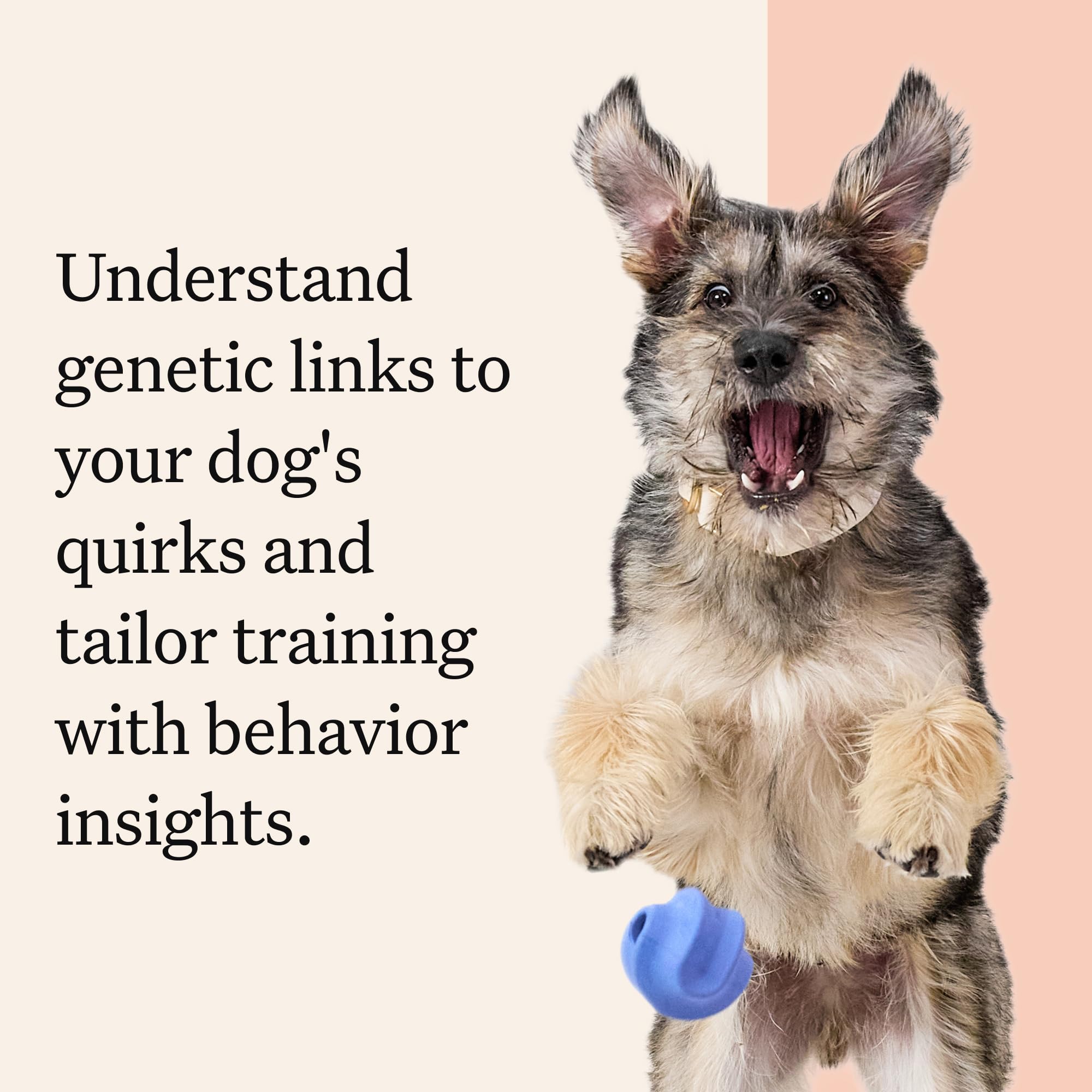 Wisdom Panel Premium: resultados para planificar cuidados personalizados con el veterinario