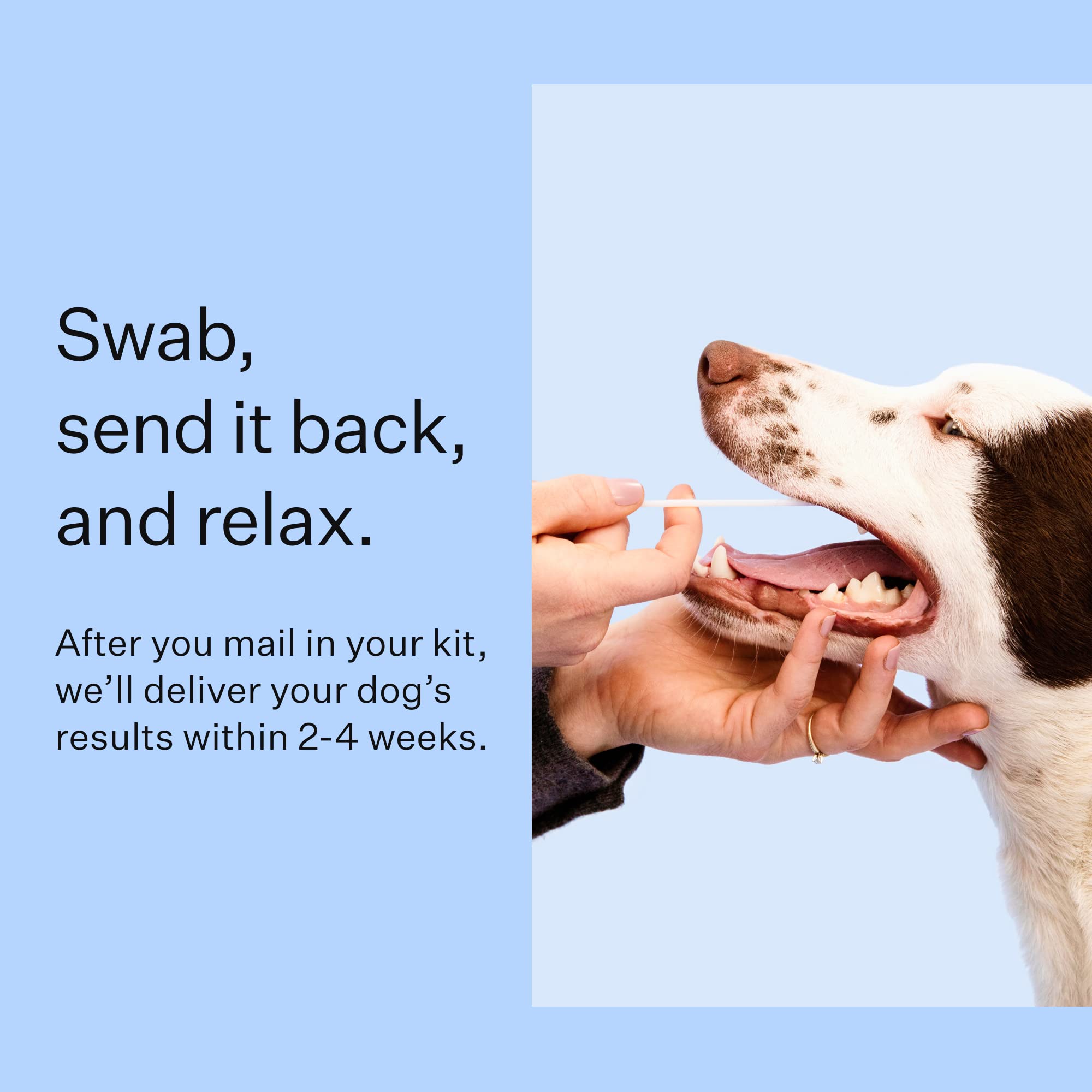 Wisdom Panel: toma de muestra suave sin dolor para tu perro