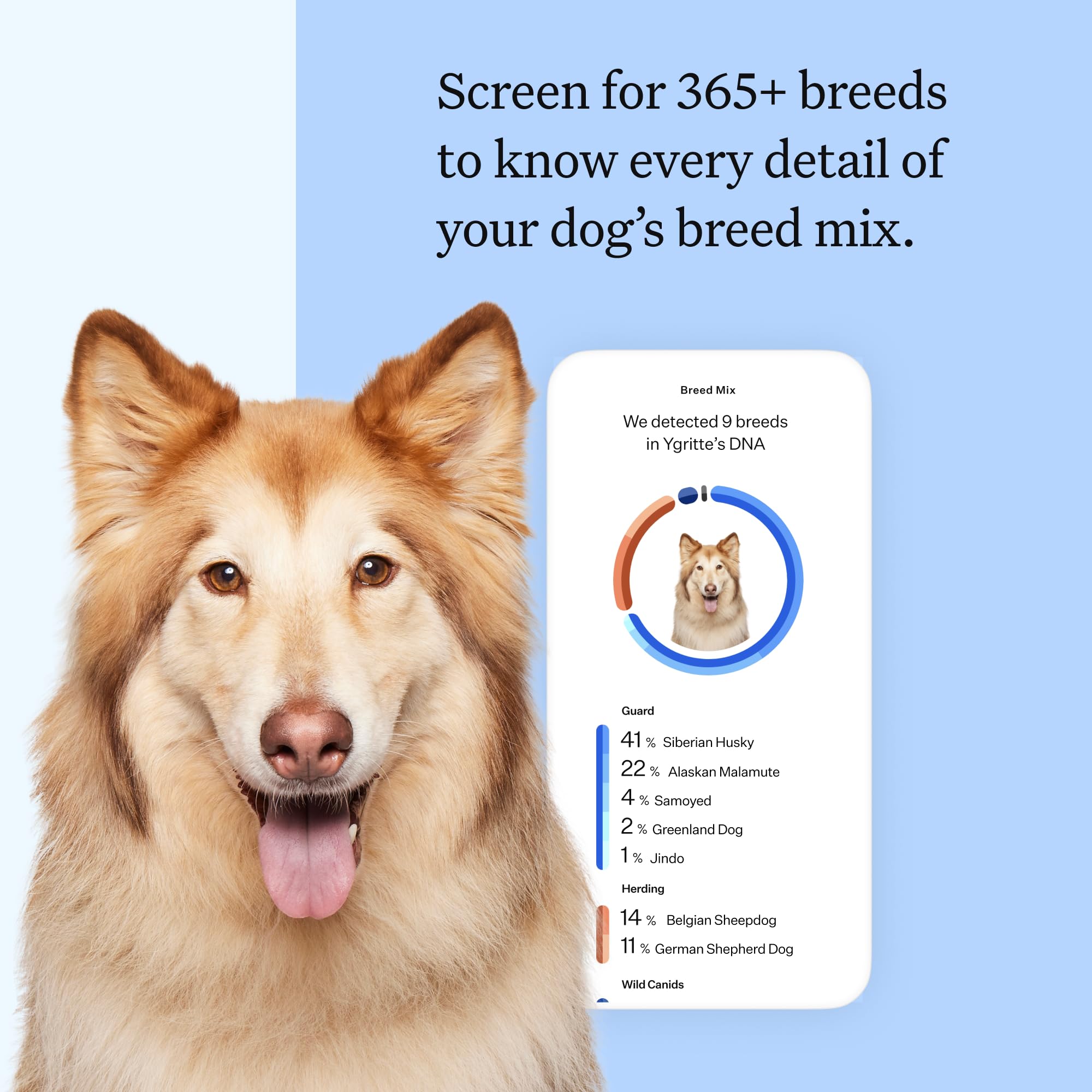 Wisdom Panel: prueba MDR1 de salud canina para evitar reacciones