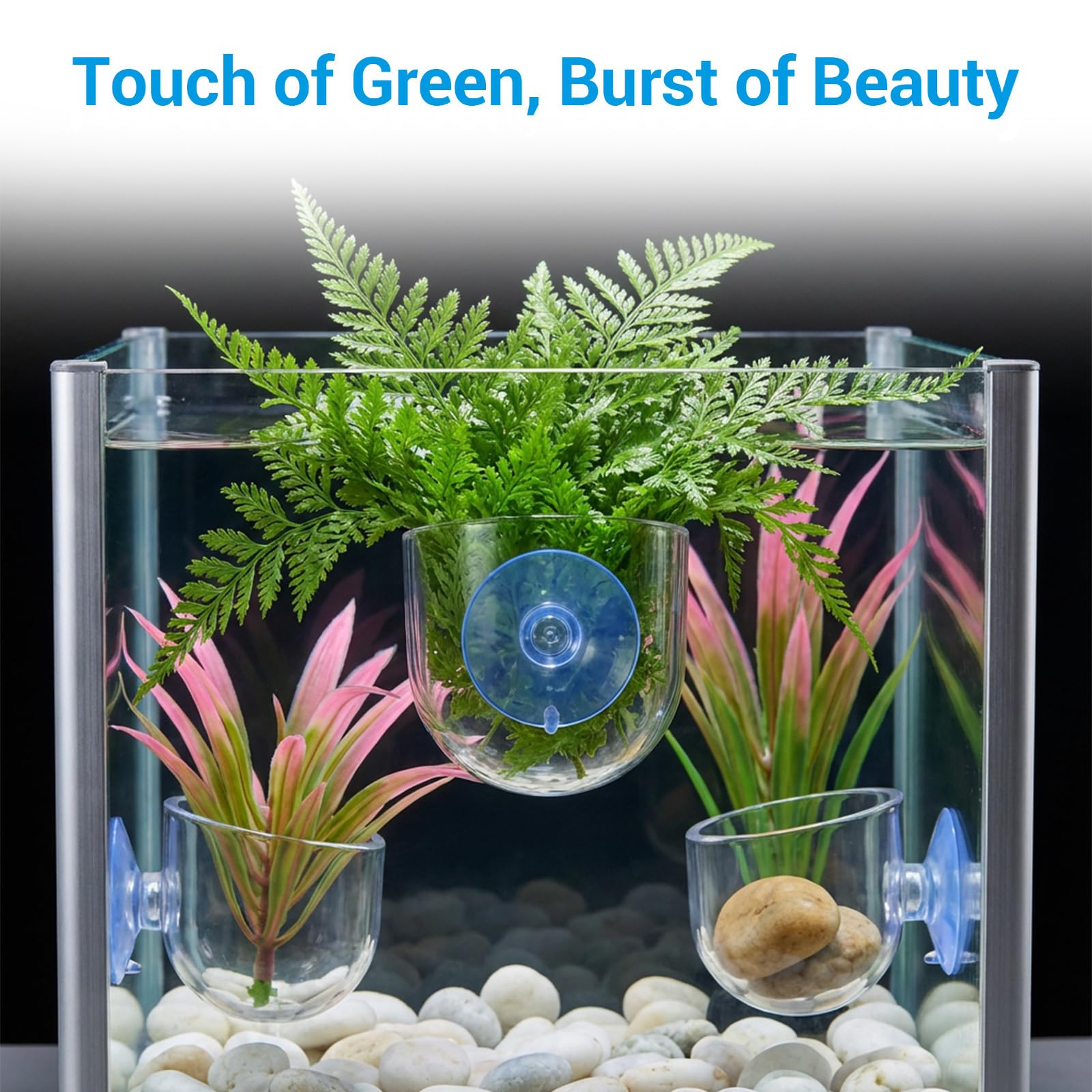 WJIAAA diseño claro que mantiene la estética del acuario