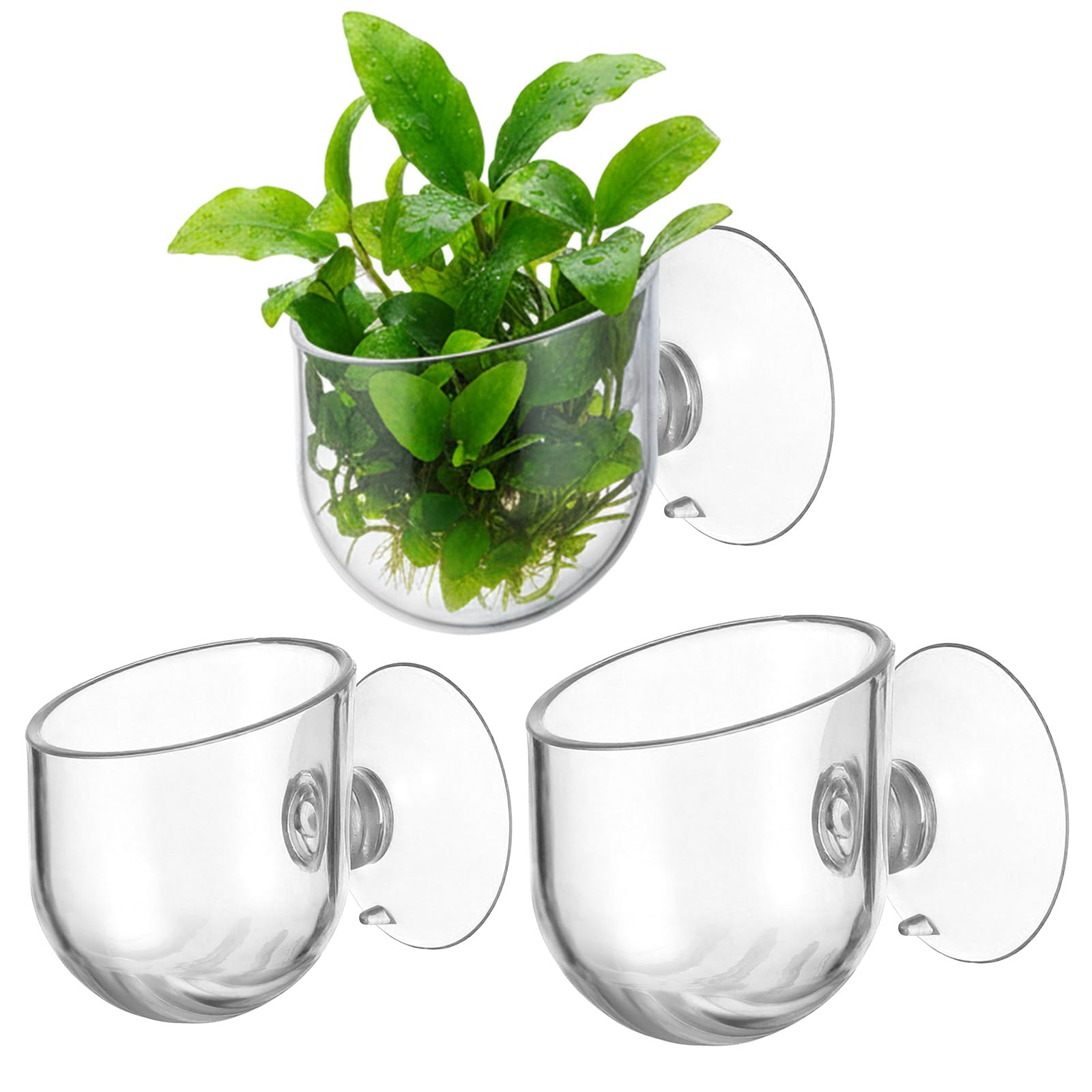 WJIAAA soporte planta acuario pequeño con ventosa para fijación estable