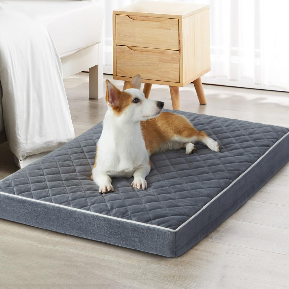 WNPETHOME cama ortopédica para perros, superficie de terciopelo para mayor confort nocturno.