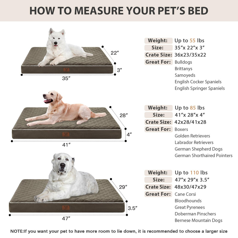 WNPETHOME cama ortopédica XL con dimensiones 47x29x3,5 pulgadas para perros grandes.