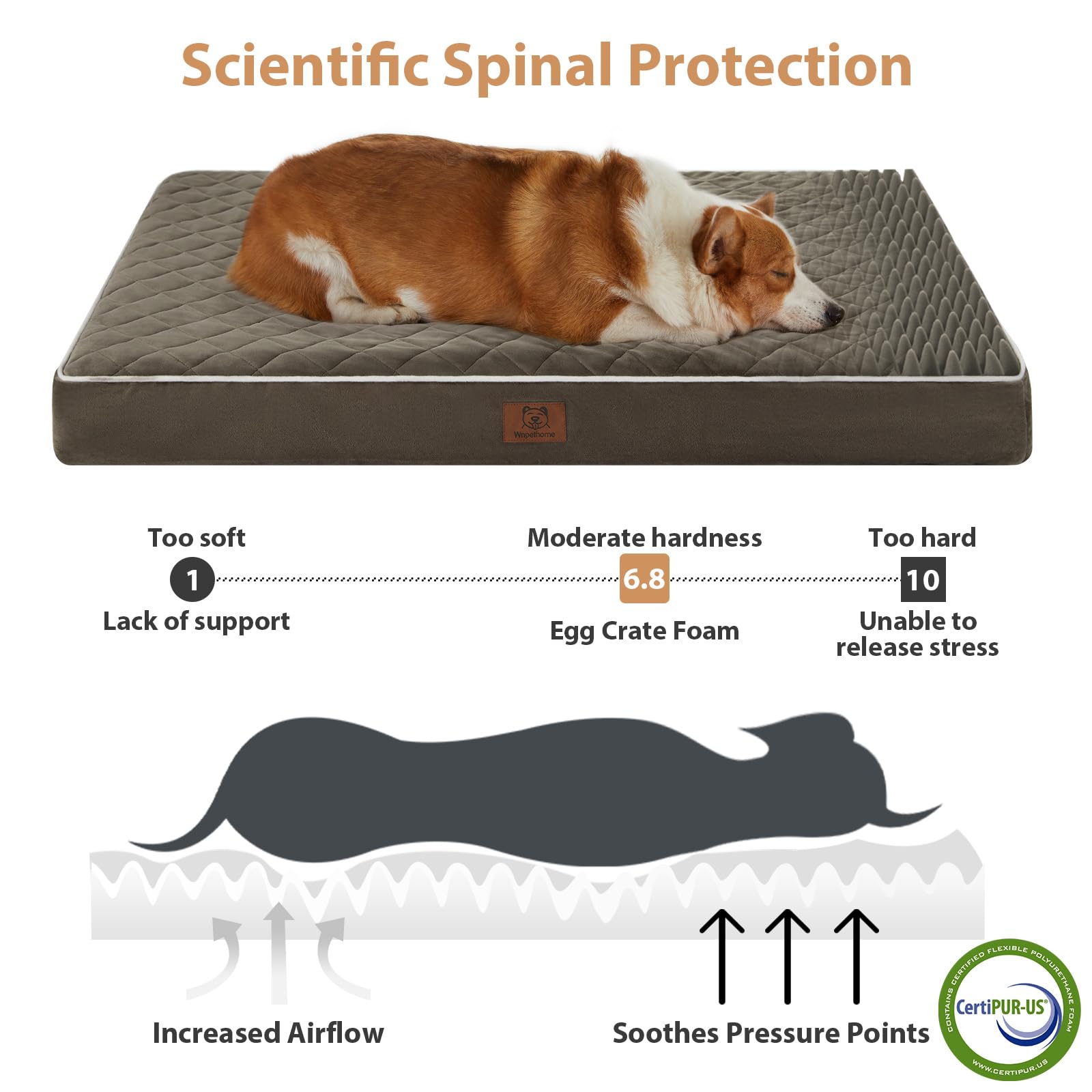 WNPETHOME cama ortopédica XL con espuma tipo huevo para distribución de peso.