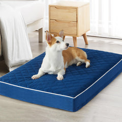 Cama ortopédica WNPETHOME XXL con superficie de terciopelo para mayor comodidad