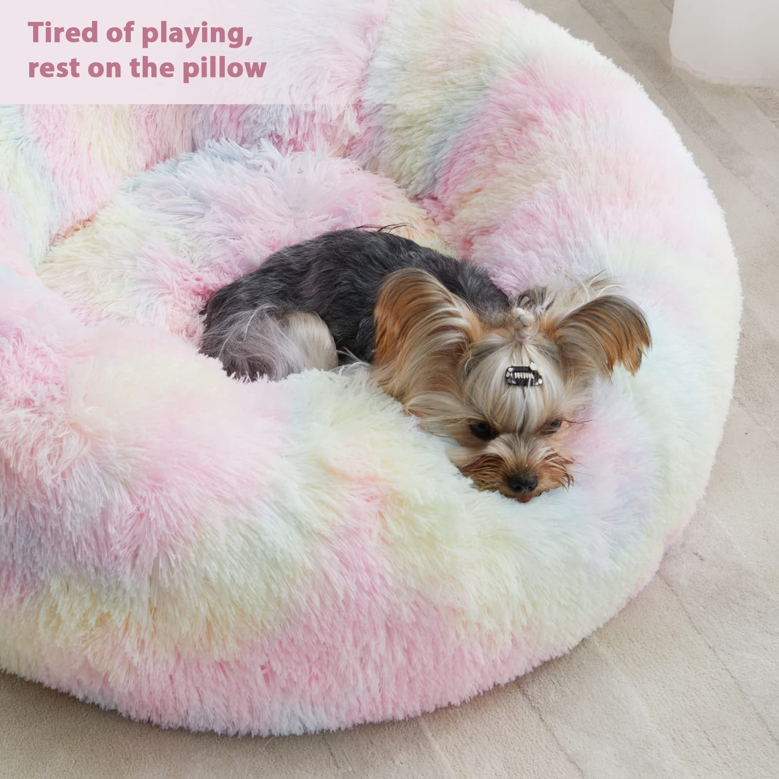 Cama donut multicolor WNPETHOME arcoíris, estilo agradable para cualquier habitación