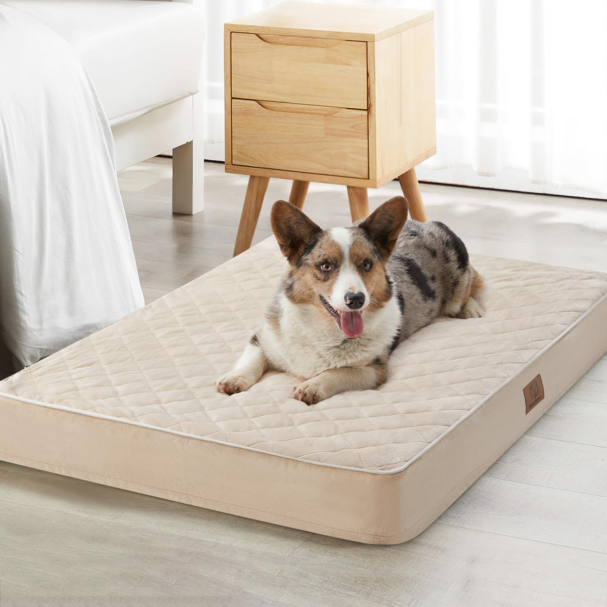 WNPETHOME cama extragrande para perros con superficie de terciopelo suave, confort cálido.