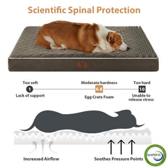 Cama ortopédica de espuma de alta densidad de WNPETHOME para soporte estable.