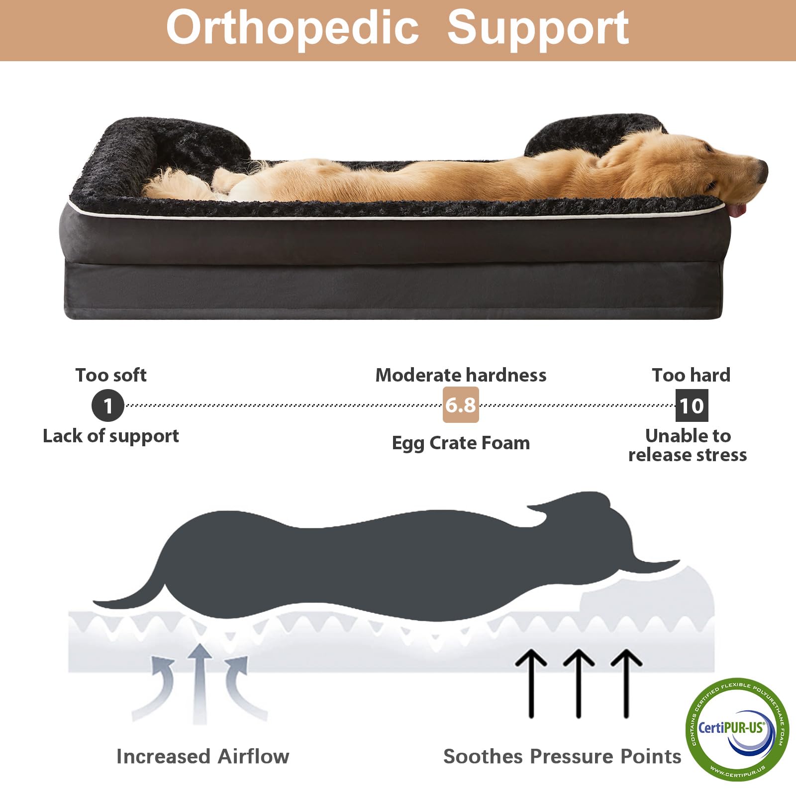 Espuma de alta densidad de WNPETHOME para mayor soporte articular