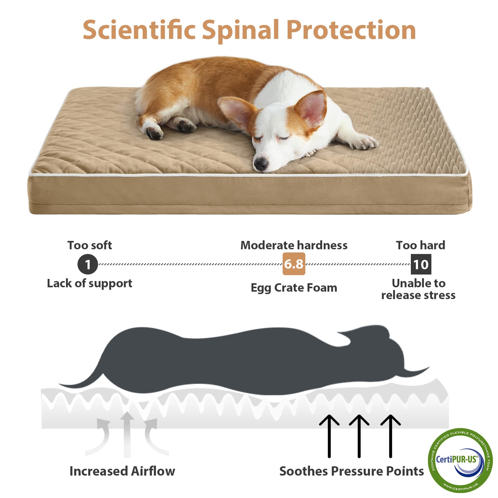 Cama WNPETHOME con espuma panal de alta densidad para soporte cómodo.