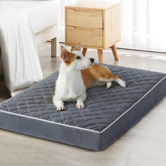 Cama ortopédica WNPETHOME XXL con superficie de terciopelo para confort.