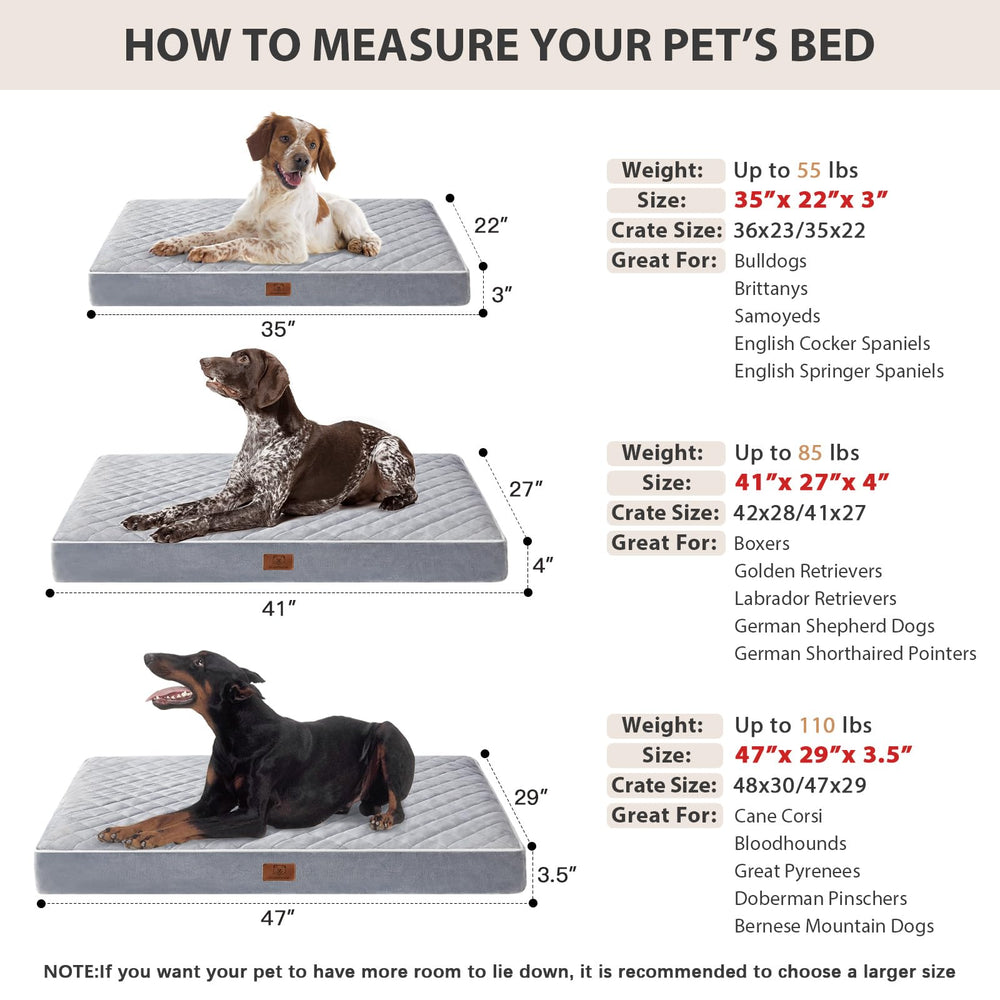 Dimensiones 35x22x3 pulgadas, talla ideal para perros de hasta 55 libras
