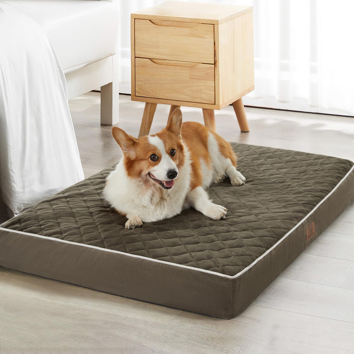 WNPETHOME: cama para perros XL con superficie de terciopelo suave para mayor comodidad.