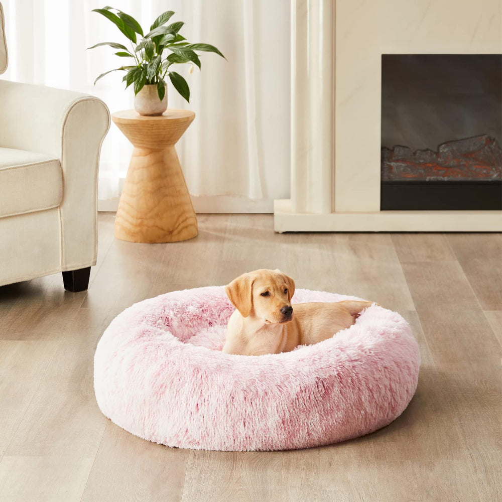 Cama WNPETHOME tamaño cómodo para perros medianos hasta 10 libras.