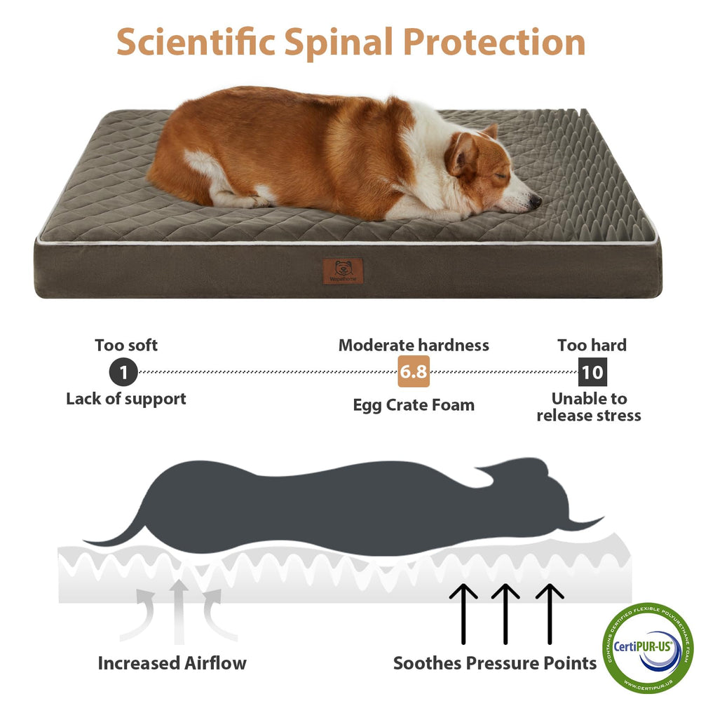 WNPETHOME cama perro con funda lavable para limpieza rápida.