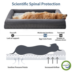 WNPETHOME XL espuma ortopedico-huevo ofrece soporte a las articulaciones.
