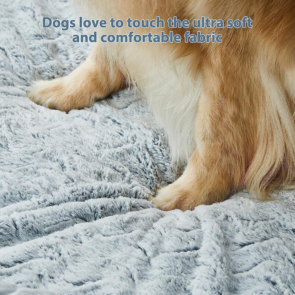 Ideales para perros que buscan un espacio amplio y cómodo.