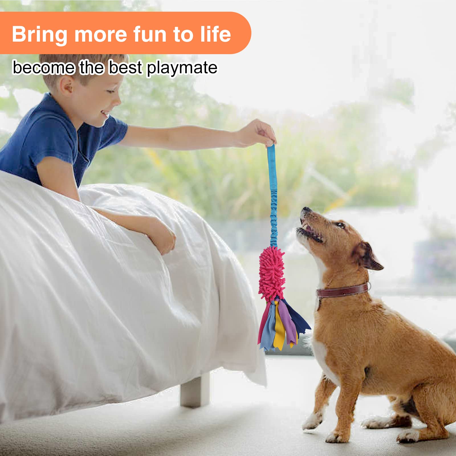 Wodoca jouet corde cadeau idéal pour chiens, moments de joie