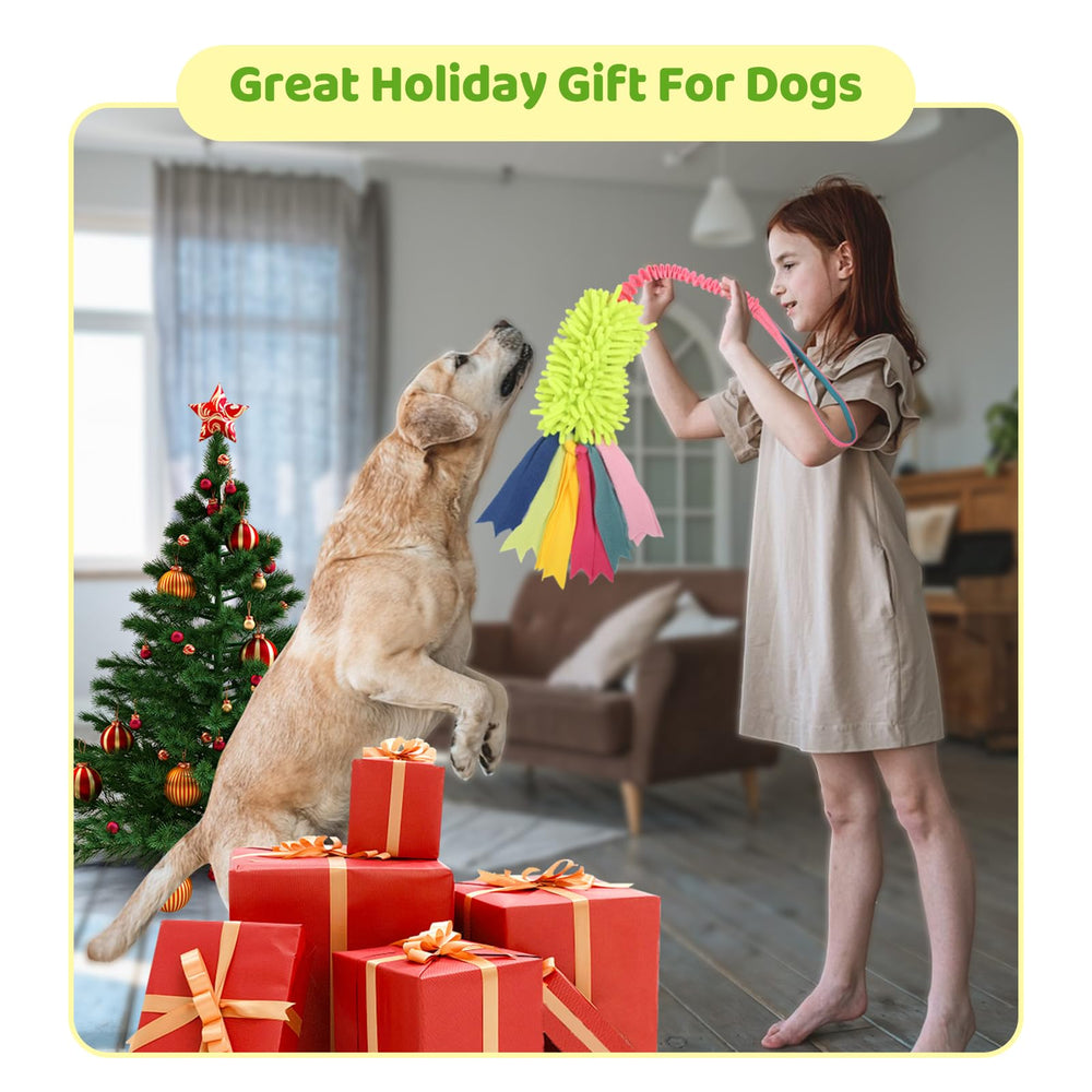 Wodoca regalo ideal para perros, ofrece entretenimiento seguro y variado.