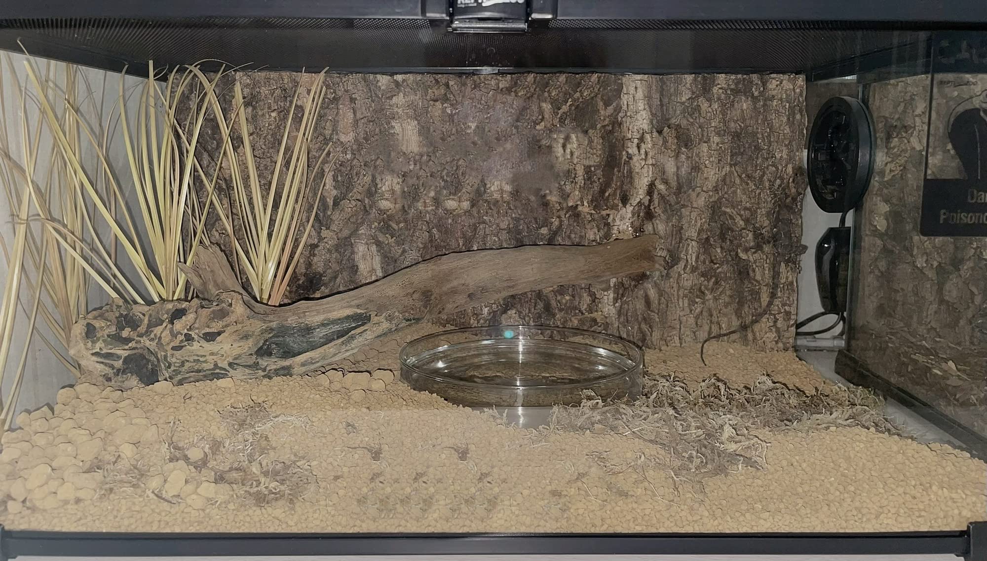 WOLEDOE decoracion-terraario para dragón barbudo, facilita montaje y limpieza.