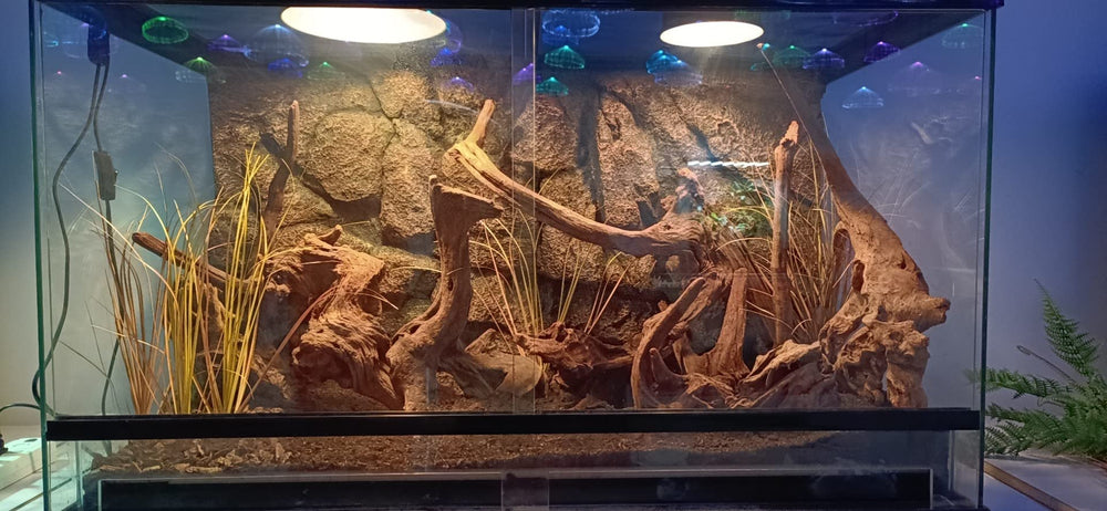 WOLEDOE decoracion para reptiles, crea refugio seguro y natural.