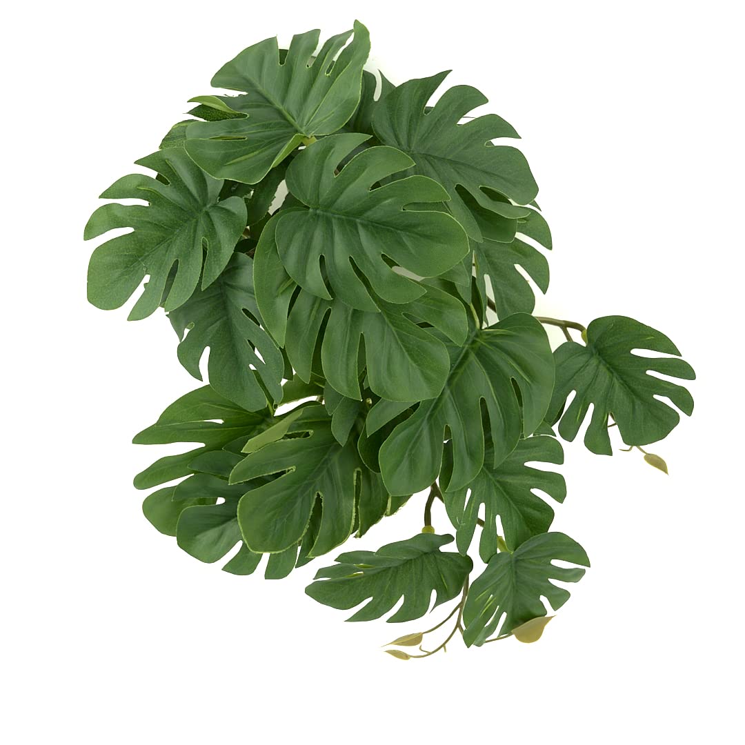 WOLEDOE Plantas artificiales Monstera colgante para terrario, color natural y ambiente realista