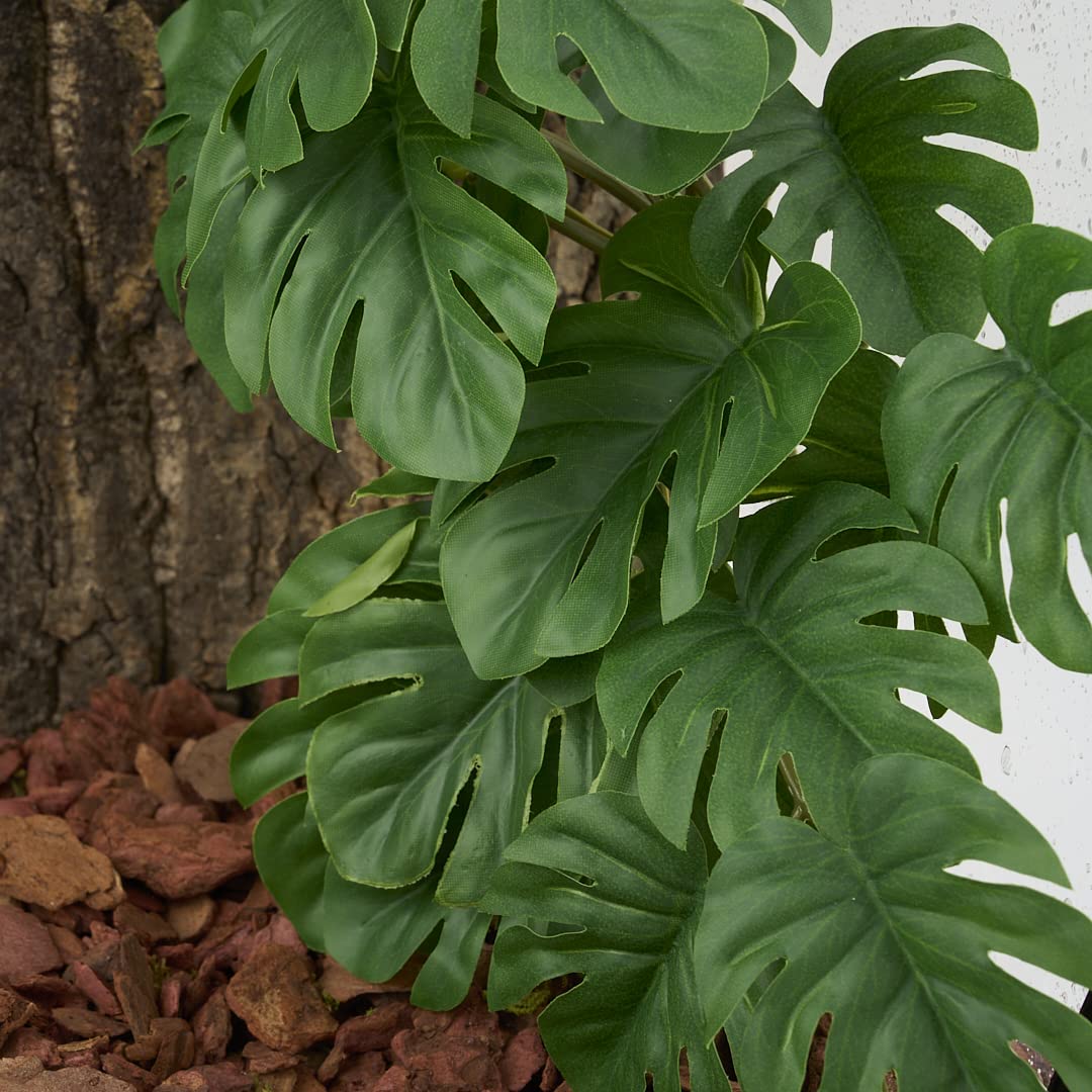 WOLEDOE Plantas decorativas para terrario reptil, crean hábitat atractivo y seguro