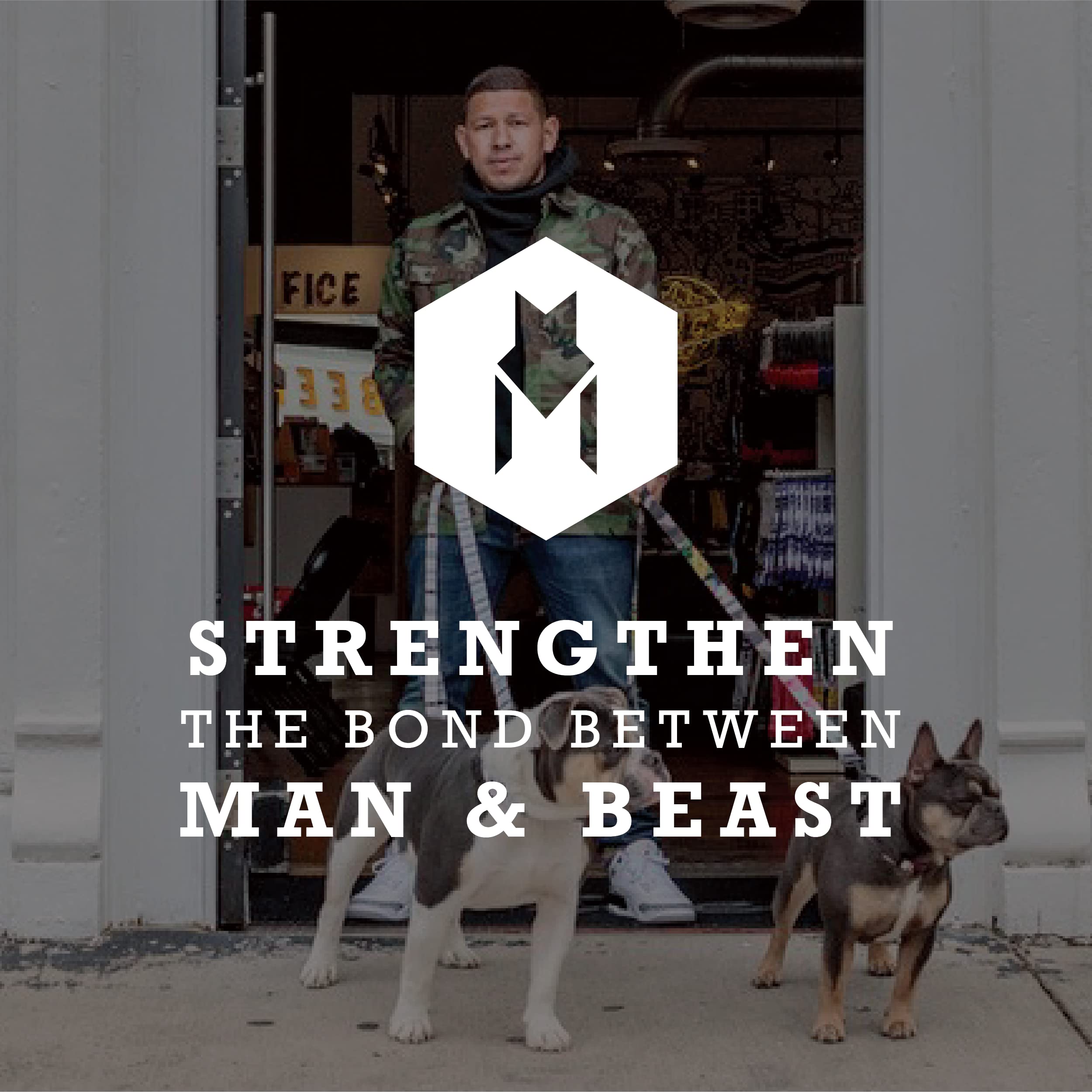 Confort y seguridad para perros con el arnés Wolfgang durante entrenamientos