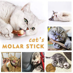 WoLover juguete dental para gatos con matatabi, fomenta juego y movimiento.
