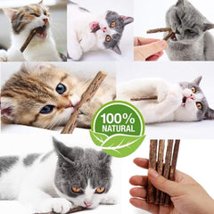 WoLover palitos matatabi para dientes felinos, ayuda a limpieza oral suave.