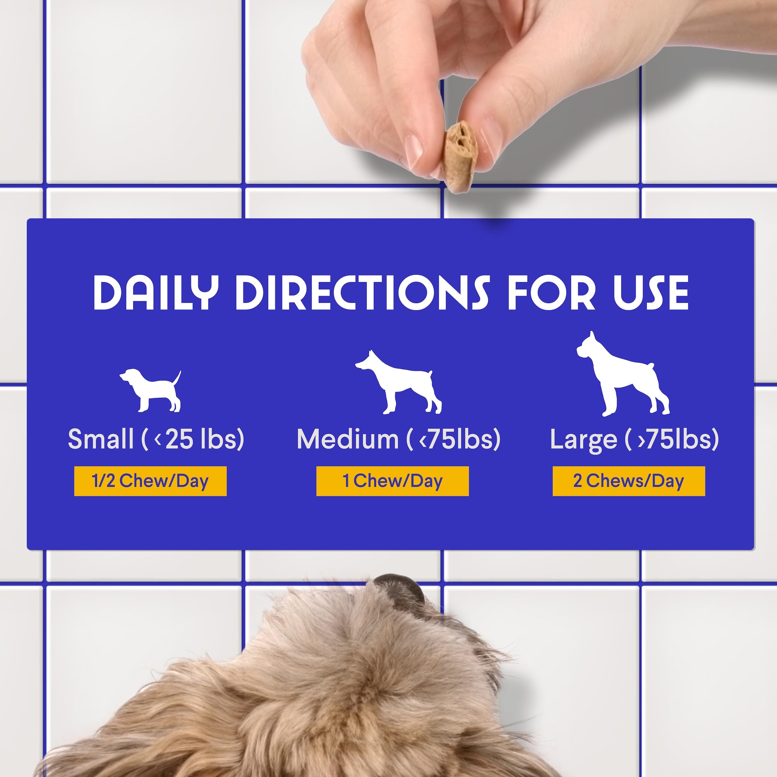 Wonder Paws apto para cachorros y perros adultos