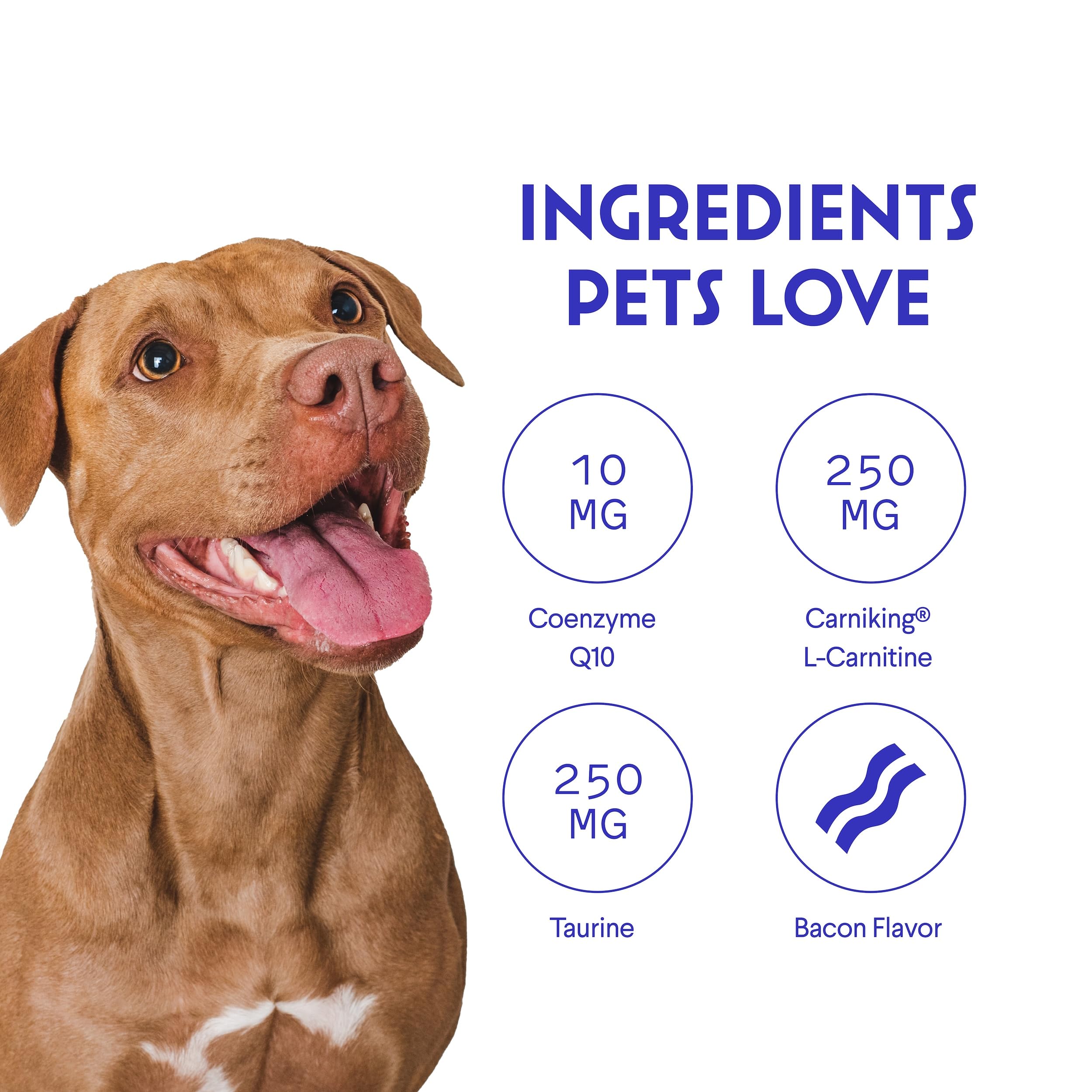 Wonder Paws Cardio Chews ingredientes clave Carniking, Taurina y CoQ10.