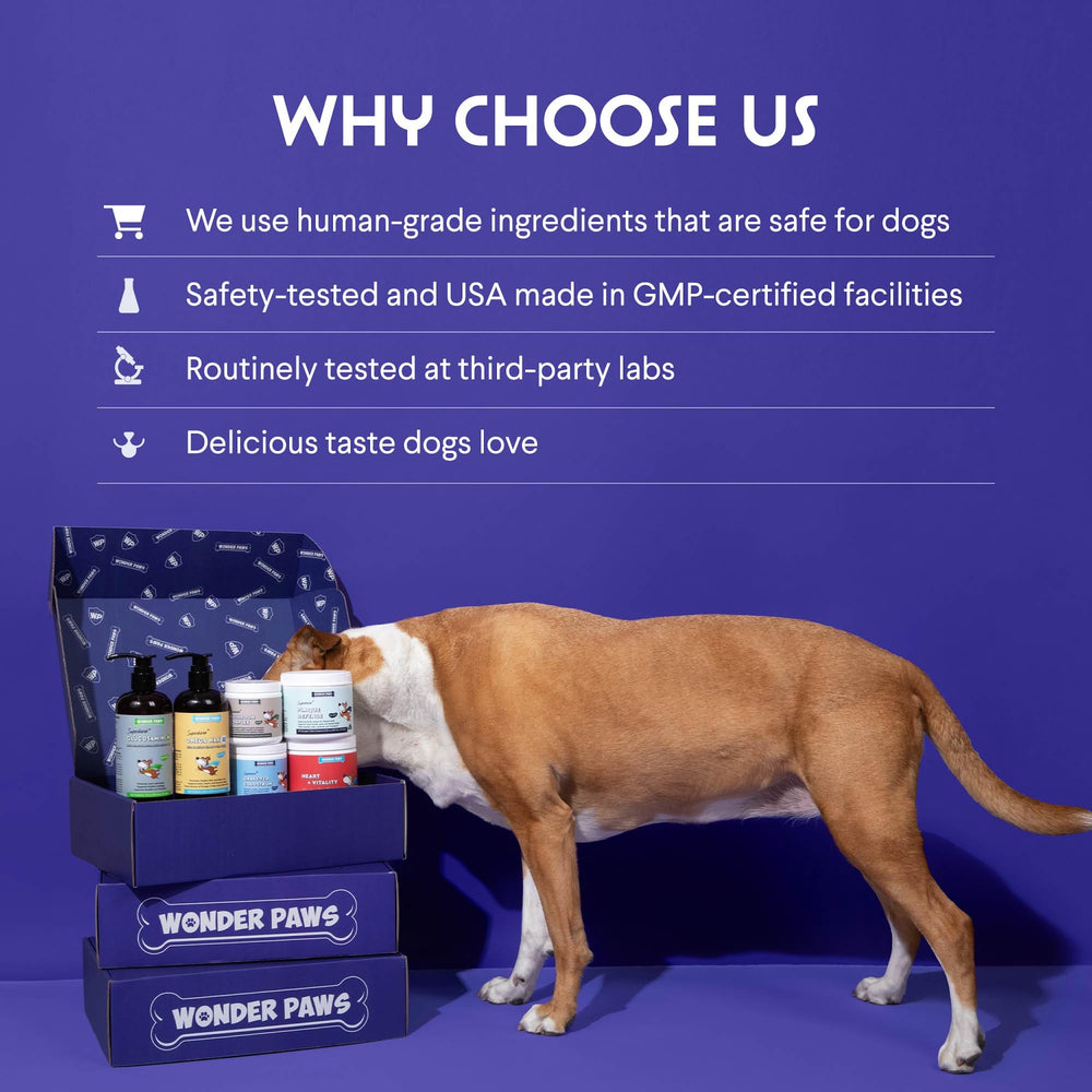 Wonder Paws etiqueta nutricional: información clara para apoyo a una dieta equilibrada