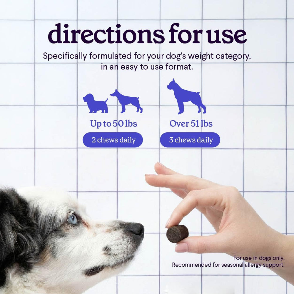 Wonder Paws mezcla inmunitaria para apoyo inmunitario