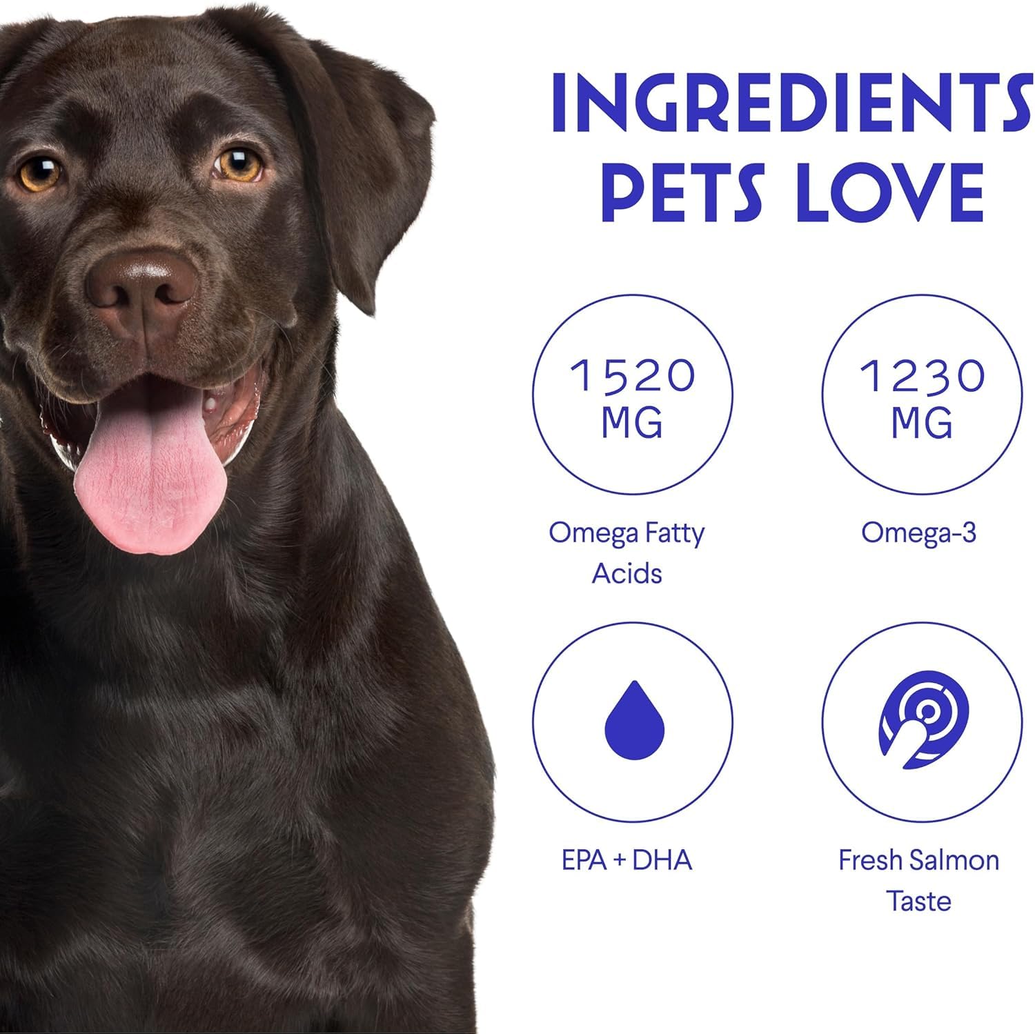 Wonder Paws Mezcla líquida para perros, fácil de incorporar a la comida diaria