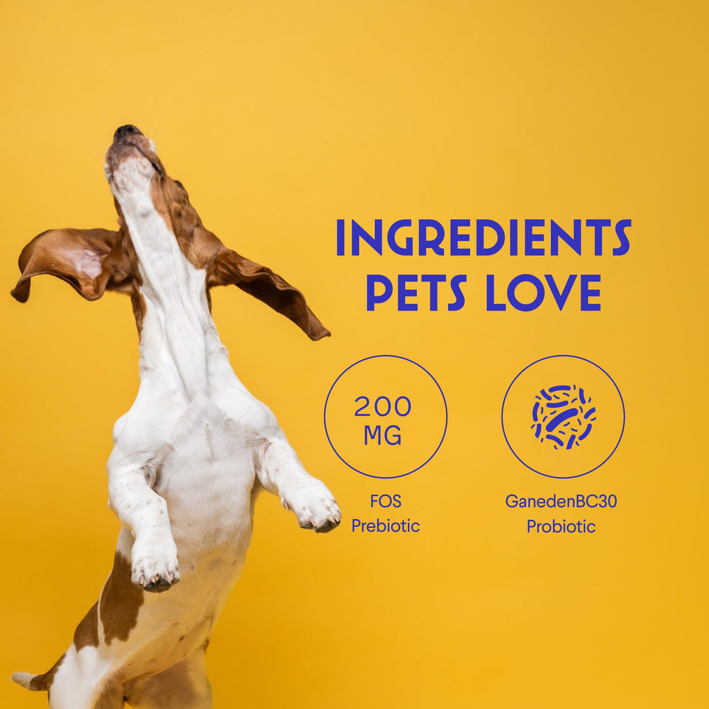 Wonder Paws Probiotics, empaque en USA y control GMP de calidad.
