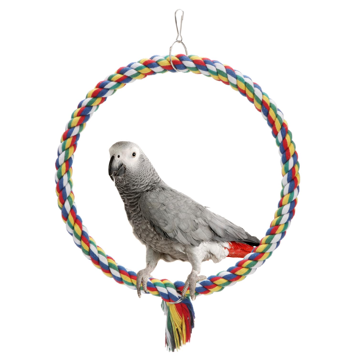 Wontee columpio de cuerda para aves colorido en la jaula, ideal para ejercitar equilibrio.