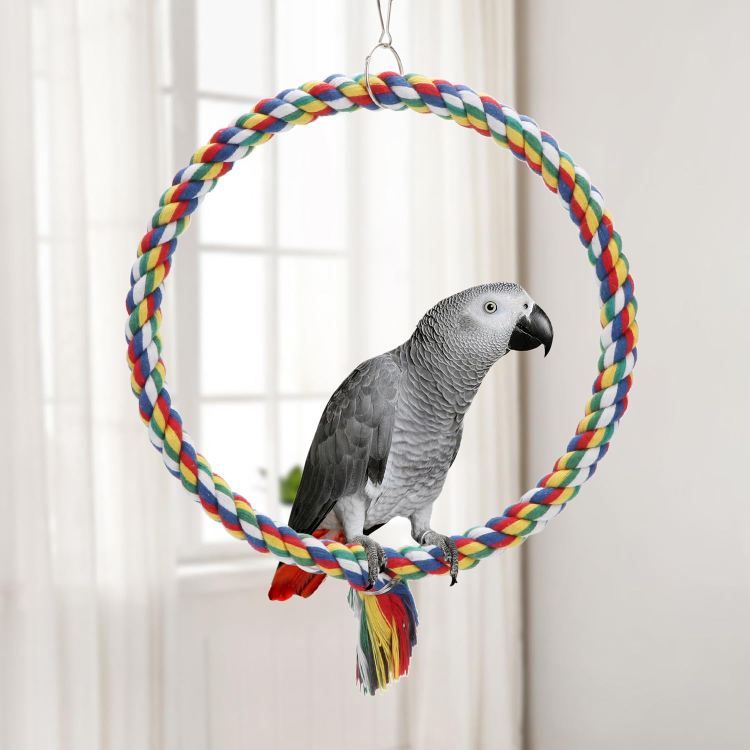 Wontee percha para aves colorida, ideal para exploración y descanso activo.